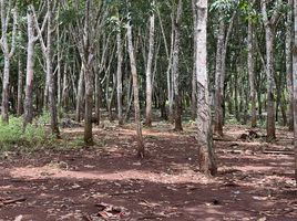  Land for sale in Tha Khanun, Thong Pha Phum, Tha Khanun