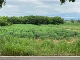  Land for sale in Mueang Kamphaeng Phet, Kamphaeng Phet, Trai Trueng, Mueang Kamphaeng Phet