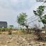  Land for sale in Nakhon Ratchasima, Makluea Kao, Sung Noen, Nakhon Ratchasima