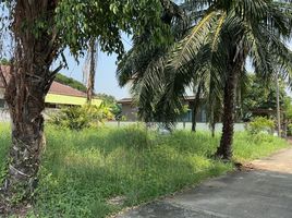  Land for sale in Khlong Yong, Phutthamonthon, Khlong Yong