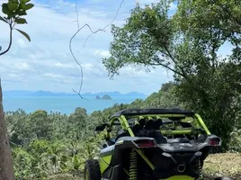  Grundstück zu verkaufen in Koh Samui, Surat Thani, Taling Ngam, Koh Samui