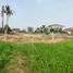 Land for sale in Tha Thong, Mueang Phitsanulok, Tha Thong