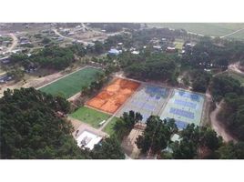  Land for sale in Villarino, Buenos Aires, Villarino