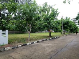  Land for sale in Phetchaburi, Cha-Am, Cha-Am, Phetchaburi