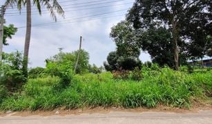 N/A Grundstück zu verkaufen in Nong Ri, Pattaya 