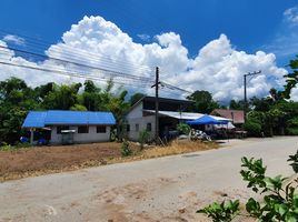  Grundstück zu verkaufen in Mae Rim, Chiang Mai, Mae Raem, Mae Rim