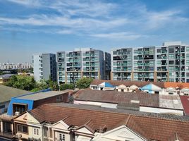 1 Schlafzimmer Appartement zu vermieten im The BASE Sukhumvit 50, Phra Khanong