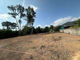  Land for sale in Surat Thani, Koh Samui, Surat Thani