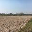  Land for sale in Pa Phai, San Sai, Pa Phai