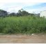  Land for sale in Itanhaem, Itanhaem, Itanhaem