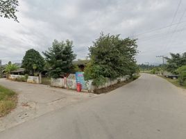  Land for sale in Wiang, Fang, Wiang