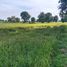  Land for sale in Huai Khaen, Nakhon Ratchasima, Huai Khaen, Huai Thalaeng