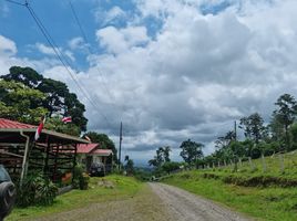  Grundstück zu verkaufen in Guacimo, Limon, Guacimo