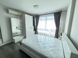 1 Schlafzimmer Wohnung zu vermieten im Dcondo Campus Resort Kuku Phuket, Ratsada, Phuket Town