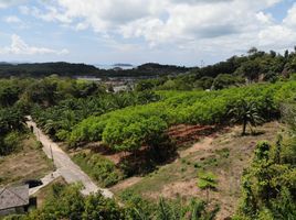  Grundstück zu verkaufen in Thalang, Phuket, Pa Khlok