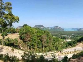  Land for sale in Takua Thung, Phangnga, Khlong Khian, Takua Thung
