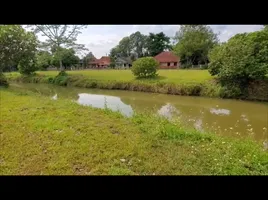  Grundstück zu verkaufen im Wiang Doi Village, Choeng Doi, Doi Saket