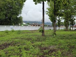 ขายที่ดิน ใน แม่ริม เชียงใหม่, ดอนแก้ว, แม่ริม