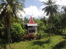  Land for sale in Khao Lak Beach, Khuek Khak, Khuek Khak