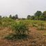  Land for sale in Mueang Udon Thani, Udon Thani, Na Di, Mueang Udon Thani