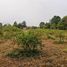  Land for sale in Udon Thani, Na Di, Mueang Udon Thani, Udon Thani