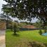 3 Bedroom House for sale in Chiang Rai, Tha Khao Plueak, Mae Chan, Chiang Rai