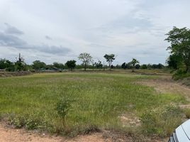  Grundstück zu verkaufen in Non Thai, Nakhon Ratchasima, Non Thai, Non Thai