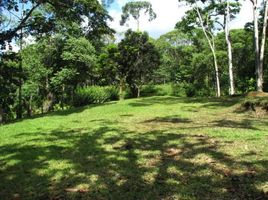  Grundstück zu verkaufen in Golfito, Puntarenas, Golfito