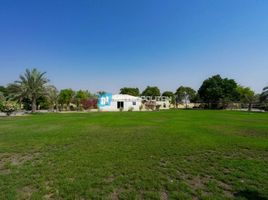 4 Schlafzimmer Haus zu verkaufen im Al Ajban, EMAAR South