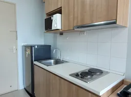 1 спален Кондо в аренду в Ideo Mix Sukhumvit 103, Bang Na