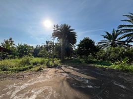  Land for sale in Lam Thap, Krabi, Lam Thap, Lam Thap