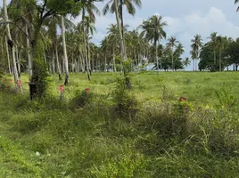  Land for sale in Taling Chan, Krabi, Taling Chan, Nuea Khlong, Krabi