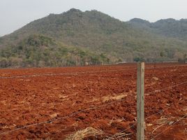  Grundstück zu verkaufen in Phatthana Nikhom, Lop Buri, Chon Noi