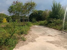  Land for sale in Yu Wa, San Pa Tong, Yu Wa