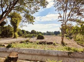  Land for sale in Nong Han, San Sai, Nong Han