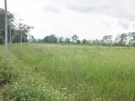  Land for sale in Rop Wiang, Mueang Chiang Rai, Rop Wiang