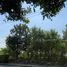  Land for sale at Evergreen City, Bang Khae Nuea, Bang Khae, Bangkok