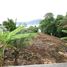  Land for sale in Kathu, Phuket, Patong, Kathu