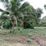  Land for sale in Nong Phai Kaeo, Pattaya, Nong Phai Kaeo