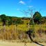  Land for sale in Guanacaste, Liberia, Guanacaste