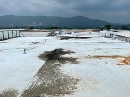  Einzelhandelsfläche zu vermieten in Bo Phut, Surat Thani, Bo Phut, Koh Samui, Surat Thani, Thailand
