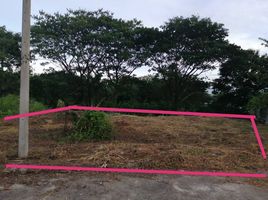  Land for sale at Baan Morakod, Nong Chom, San Sai