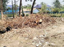  Grundstück zu verkaufen in Thalang, Phuket, Choeng Thale