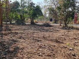  Land for sale in Buak Khang, San Kamphaeng, Buak Khang