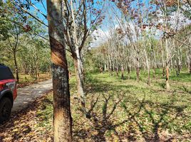  Land for sale in Chiang Klom, Pak Chom, Chiang Klom