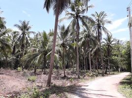  Land for sale in Mueang Samut Songkhram, Samut Songkhram, Bang Khan Taek, Mueang Samut Songkhram