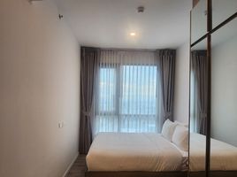 1 спален Кондо в аренду в KnightsBridge Sukhumvit-Thepharak by Hampton, Thepharak, Mueang Samut Prakan, Самутпракан