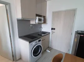 1 Bedroom Condo for rent at Ideo Mobi Sukhumvit Eastgate, Bang Na