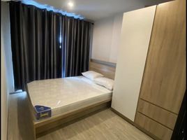 1 Bedroom Apartment for rent at Hi Seacon Station , Nong Bon, Prawet