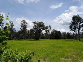  Grundstück zu verkaufen in Chonnabot, Khon Kaen, Kut Phia Khom, Chonnabot, Khon Kaen